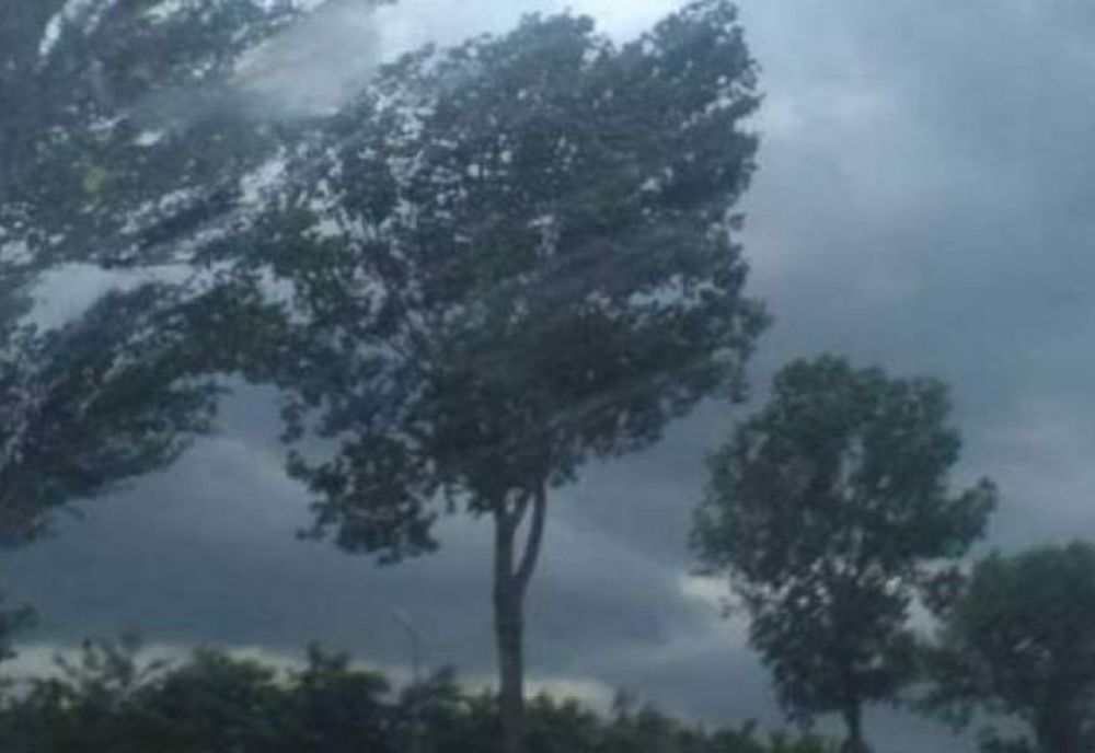 Atenționare meteo, de tip Cod Galben de vânt