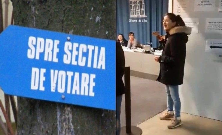 articol sectie vot spania