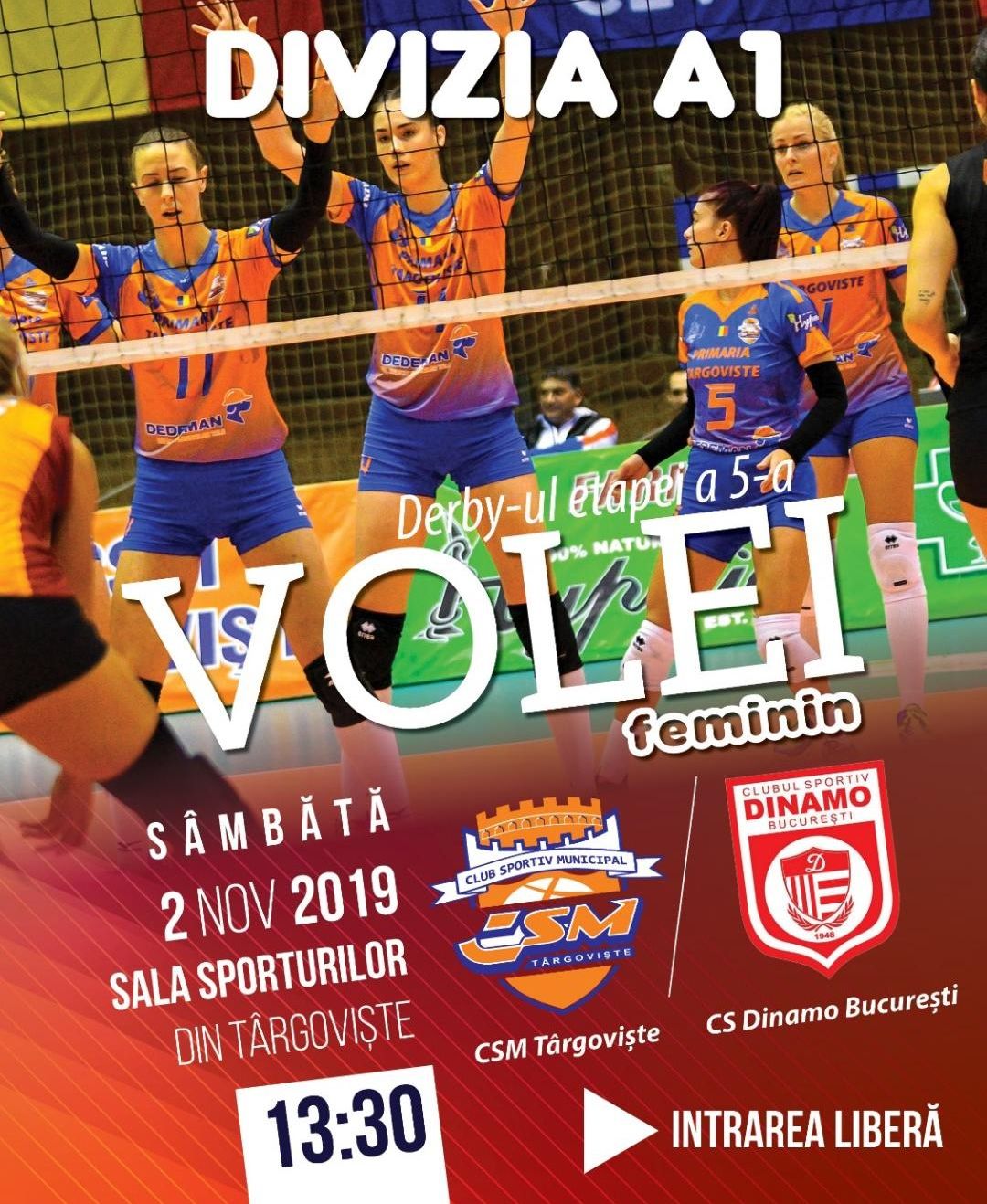 foto articol volei
