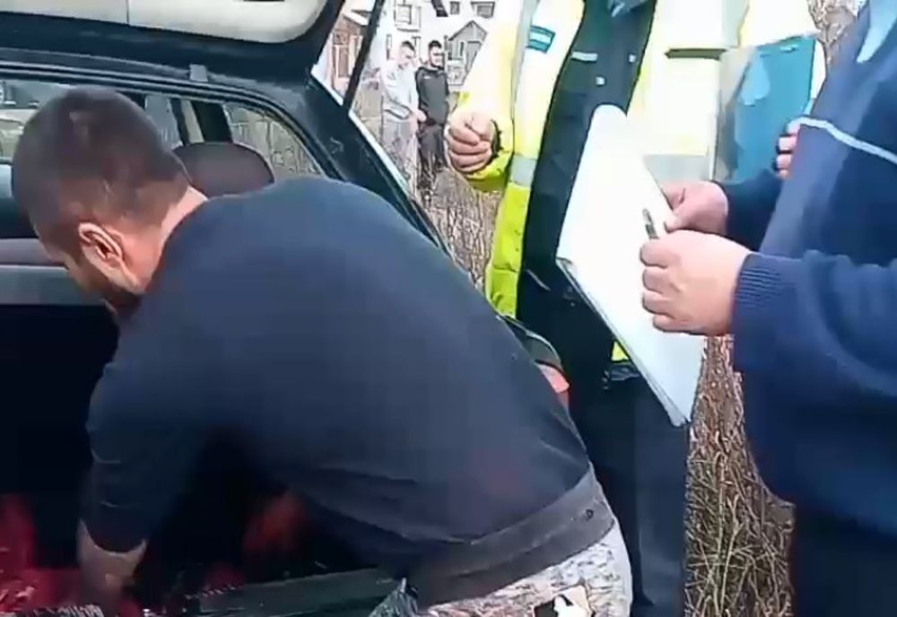Scandal cu focuri de armă, din pricina unui porc, în Dâmbovița
