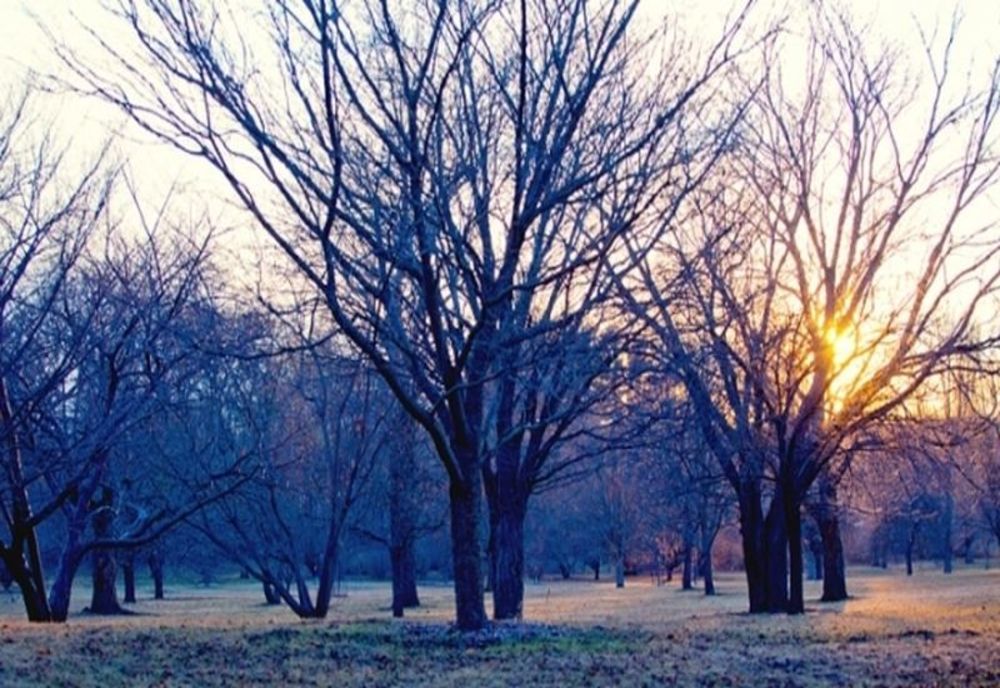 Iarnă doar în calendar. Temperaturi peste mediile perioadei, anunțate de meteorologi
