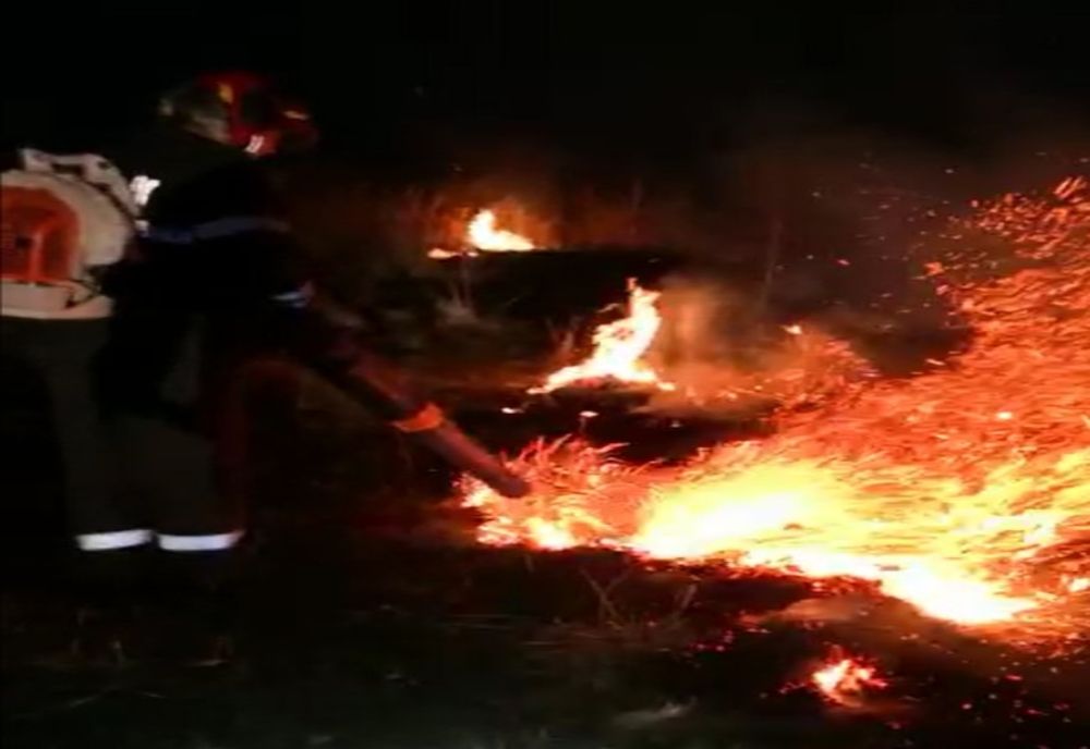 Video-Puternic incendiu de vegetație lângă Târgoviște