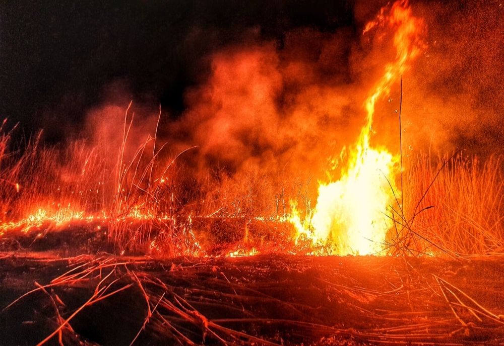 Foto | Semnal de alarmă de la ISU Dâmbovița. Incendii de vegetație ce riscă să nu poată fi stăpânite