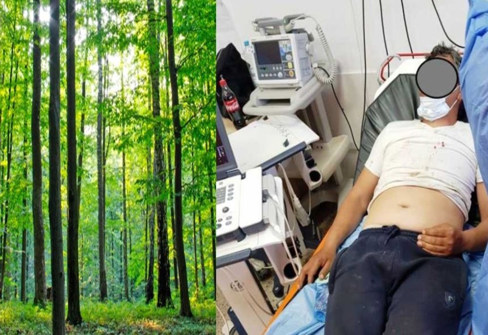 Barbat din Șuța Seacă batut cu bestialitate de doi indivizi mascați,într-o pădure din Dâmbovița