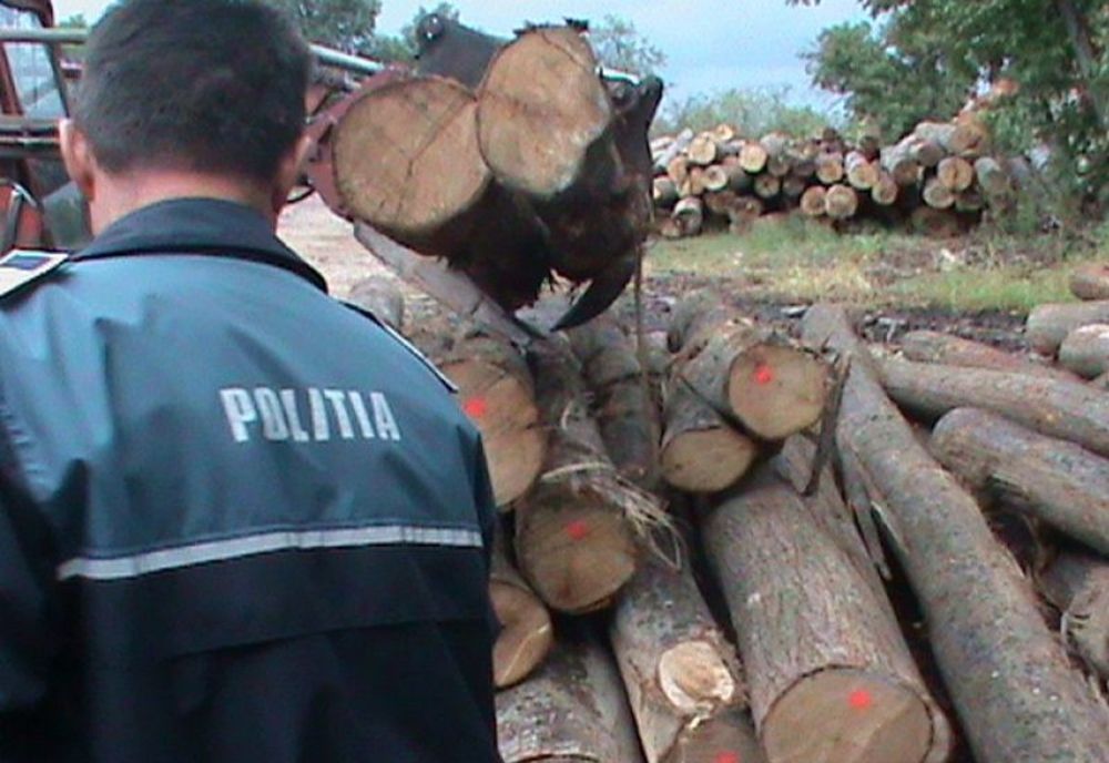 Doi dâmbovieni arestați, după ce au "diminuat" prejudiciul cauzat prin tăieri ilegale de arbori, dintr-o pădure