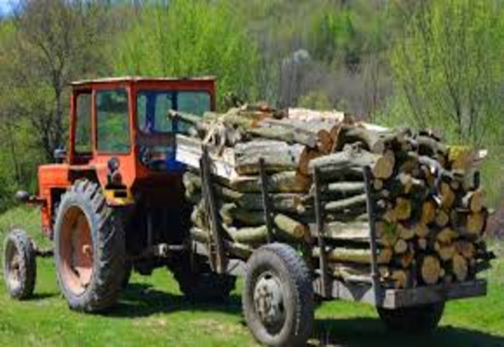 O femeie din Dâmboviţa a murit după ce un lemn dintr-o remorcă i-a căzut în cap
