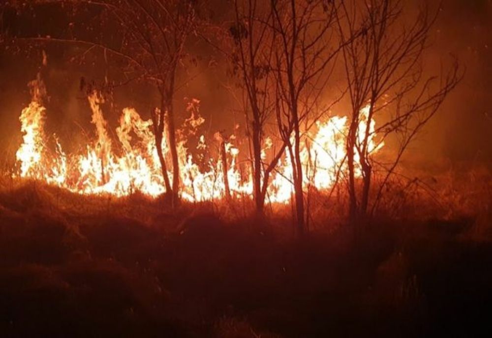 Alertă în Dâmbovița! Incendiile de vegetație uscată amenință pădurile din zonă