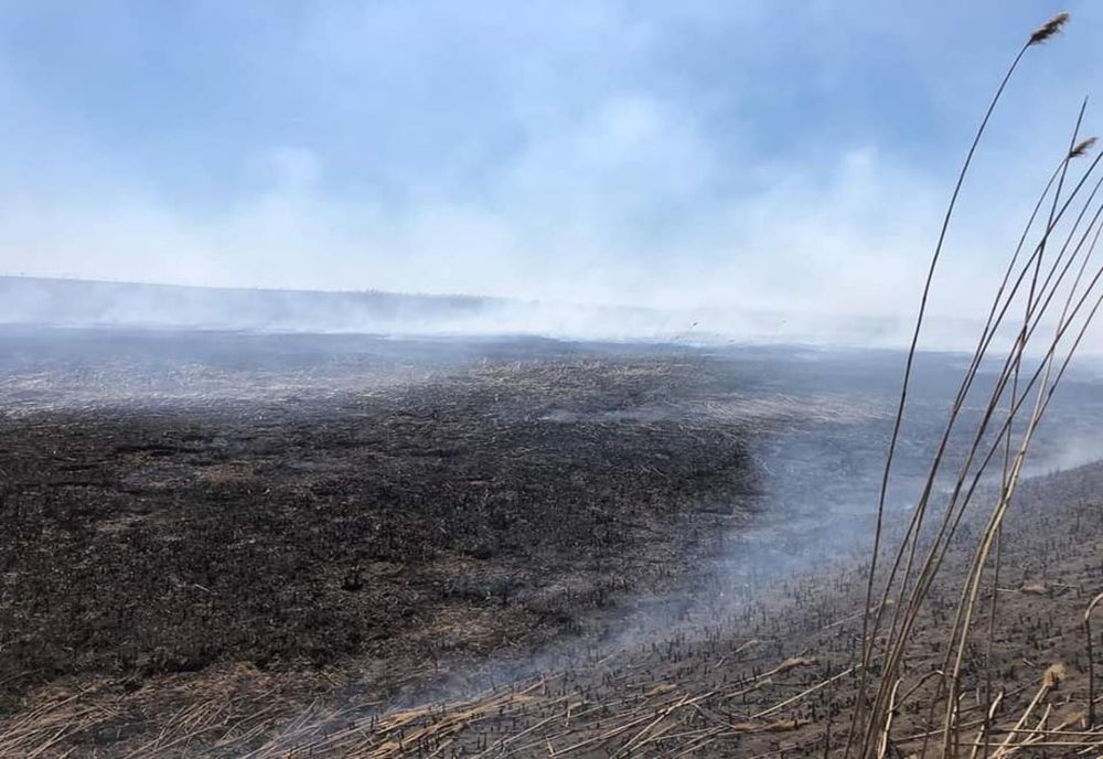 Garda de Mediu: Nu mai dați foc la miriști, deșeuri menajere sau vegetație uscată!