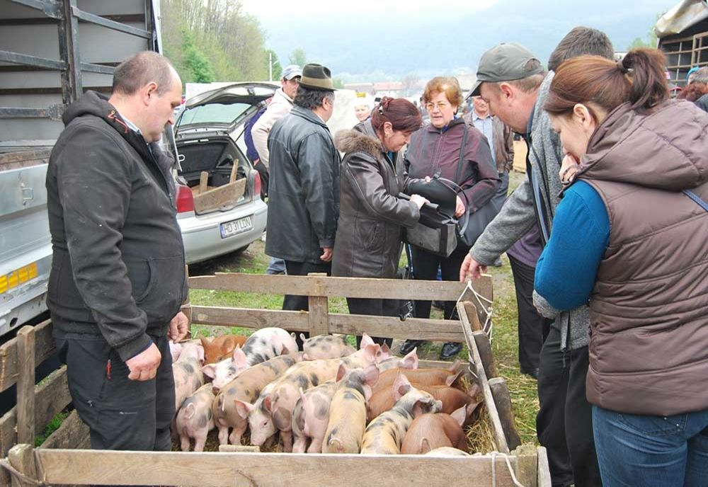 Veste bună pentru fermieri! Se redeschid toate târgurile de animale
