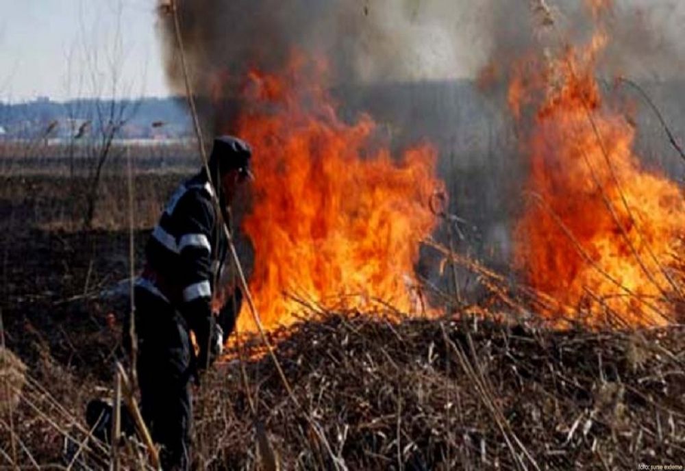 Incendiu violent de vegetație uscată lângă Autostrada A1, în Dâmbovița