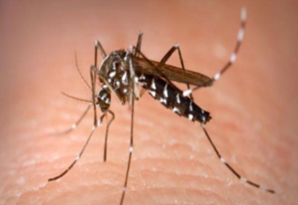 Caz de encefalită acută cu virusul West Nile, confirmat în Dâmbovița