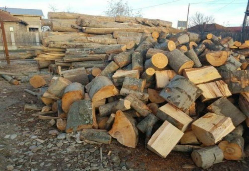 Prețul lemnului de foc, plafonat de Guvern - Un metru cub nu va putea fi mai scump de 500 de lei