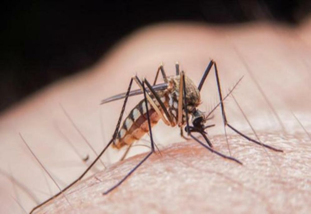 Mai multe cazuri de îmbolnăvire cu virusul West Nile. Unde au fost confirmate acestea