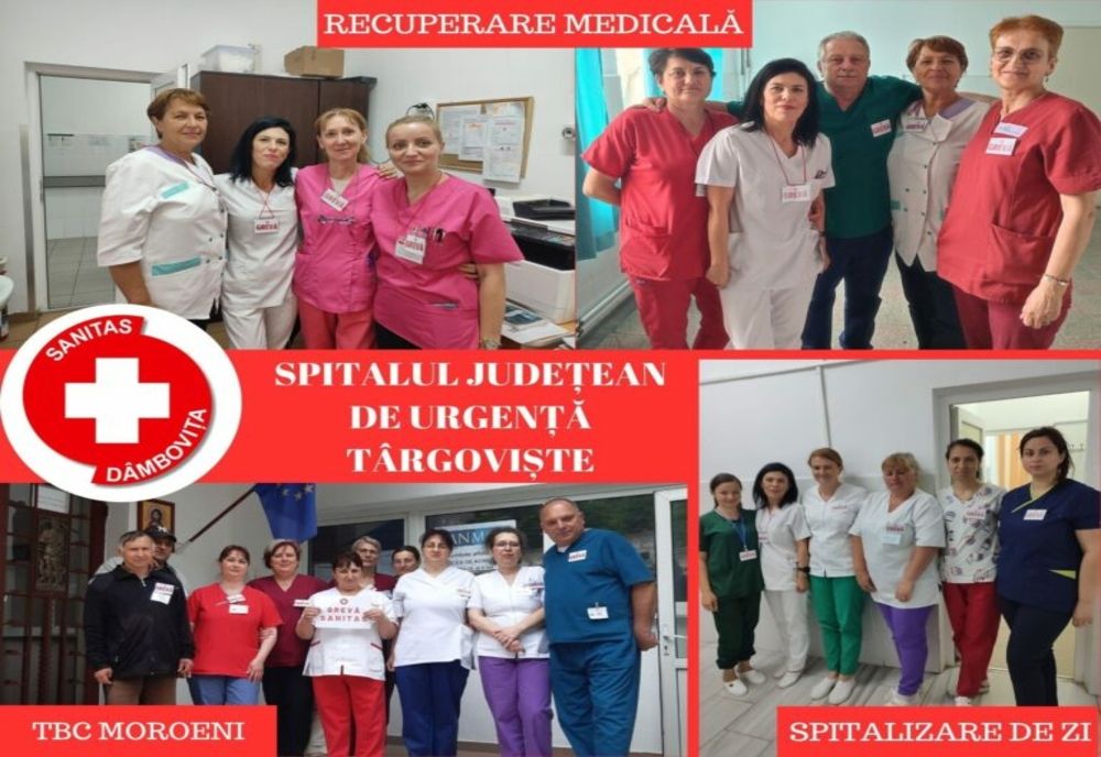 Membrii Sanitas Dâmbovița, în grevă japoneză