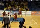 Iar înfrângere! CSM Satu Mare-CSM Târgoviște 76-62, la baschet feminin