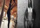 "Sexy și rea"! Sorana Cîrstea face senzație, pe Instagram, cu postările de la ultimele antrenamente