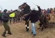 Tradiția „Botezul Cailor” de la Vișina este ilegală, anunță DSV