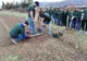 Elevi din cinci țări au aniversat "Ziua internațională a pădurii", la Pucioasa