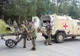 Crucea Roșie Dâmbovița, participare la exercițiul medical NATO, Vigorous Warrior ’19