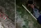 Profanator de morminte, beat, a ajuns la spital după ce a furat o cruce
