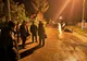 VIDEO Trei vaci, secerate de un arc electric produs la un cablu neasigurat. Două au scăpat însă una dintre ele a pierit sub ochii ciobanului