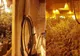 Grup infracțional trimis în judecată, pentru înființarea de culturi ilegale de cannabis, la Tărtășești și Răcari