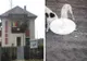 Polițiștii dâmbovițeni îl cercetează pe tânărul ce și-a pus câinii să rănească o pisică și a filmat totul