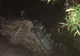 VIDEO Copil de 4 ani uitat în mașină, pe o căldură insuportabilă și cu cheile în contact