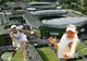 Eliminare prematură, de la Wimbledon, pentru Sorana Cîrstea