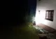 Urșii terorizează o comună de lângă Târgoviște, din nou