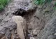 VIDEO Viitură puternică la Cârlănești. Zeci de familii, izolate în noroaie
