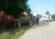 Ciocnire între un biciclist și o căruță. Biciclistul, rănit grav, va fi preluat de elicopterul SMURD
