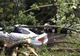Alertă ANM: Cod galben de vreme severă imediată, în Dâmbovița, între orele 14-16.00