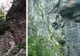 Cădere de apă spectaculoasă- „Cascada Fantomă”, în Munții Bucegi
