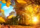 Val de aer tropical în România. Temperaturile ajung până la 25 de grade în Europa Centrală şi de Est