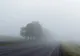 Vine iarna! Temperaturile scad spectaculos