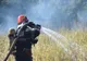 Suprafaţă întinsă de mirişte, mistuită de flăcări. Pompierii intervin 