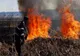 Incendiu violent de vegetație uscată lângă Autostrada A1, în Dâmbovița