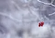 Vremea 17 decembrie - Răcire bruscă a temperaturii