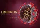 Au fost confirmate încă 9 persoane infectate cu tulpina Omicron. În total sunt 25 de cazuri pe teritoriul României