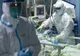 Cazuri de infectare cu ciuperca neagră la pacienți post COVID-19, în România
