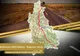 Ministrul Transporturilor: Ce se va întâmpla cu proiectul pentru DN 71 Bâldana-Târgoviște-Sinaia