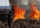 Dâmboviţa. Incendiu de vegetaţie uscată pe o suprafaţă de 25 de hectare, în zona Ludeşti