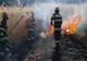 Dâmboviţa. Un puternic incendiu de vegetație uscată, izbucnit în apropierea pădurii Pleașa, a distrus şi o livadă