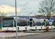 Aproximativ 9000 de pensionari târgovișteni vor beneficia de transport public gratuit