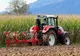 APIA: Au fost stabilite cuantumurile ajutoarelor naționale pentru fermieri