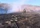 Dâmboviţa. Incendiile de vegetație uscată se extind. Peste 75 de hectare de teren arse într-o singură zi