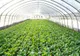 300 de milioane de euro, sprijin pentru IMM-urile din agricultură