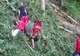 Accident deosebit de grav de muncă într-o pădure din Dâmbovița! Un bărbat a decedat, iar altul a fost rănit