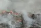 Decizie a Guvernului: Incendierea și îngroparea deșeurilor devin infracțiuni